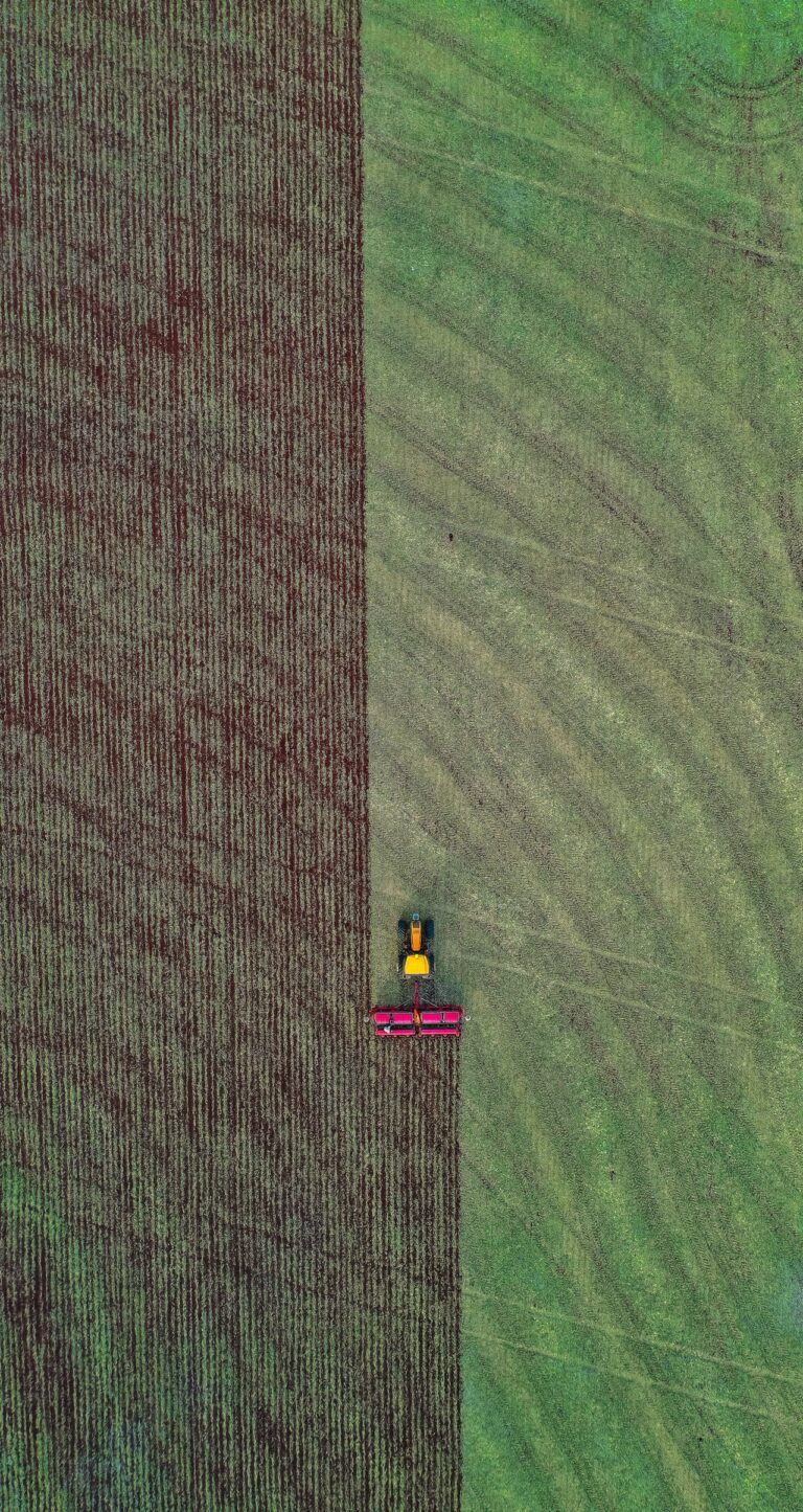 Tractor ploughing field of Lucerne Hay